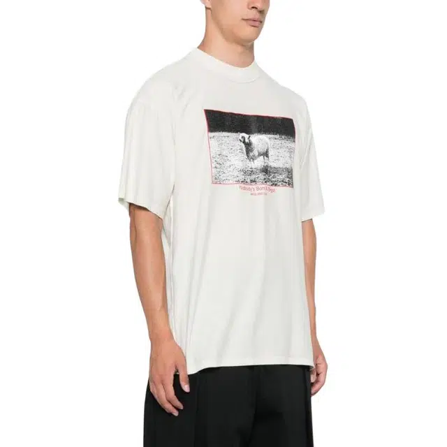 Magliano T