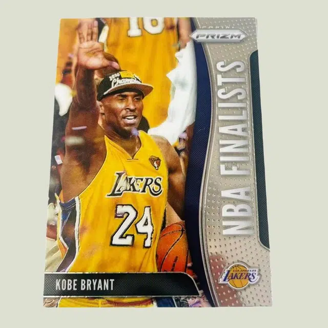 PANINI 19-20 Prizm