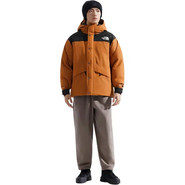 THE NORTH FACE Dryvent FW25 600