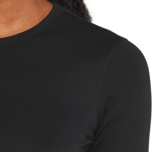 icebreaker Core T