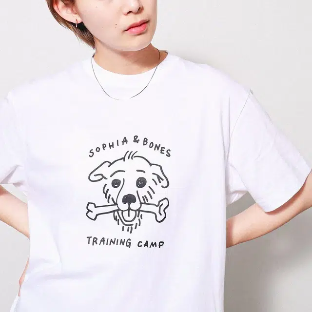 beams T