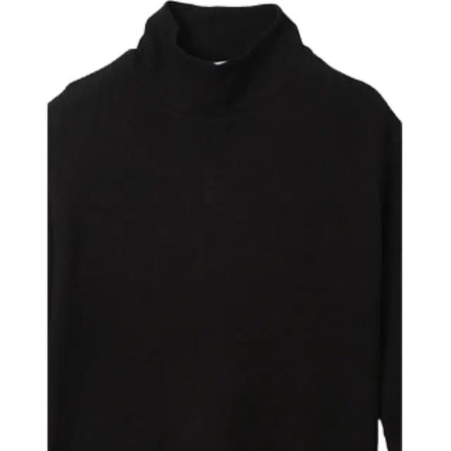 Champion T