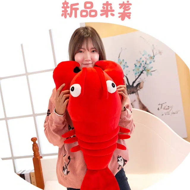 27cm50cm70cm