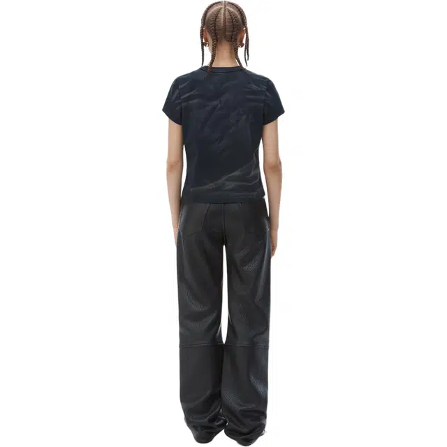 alexander wang FW24T