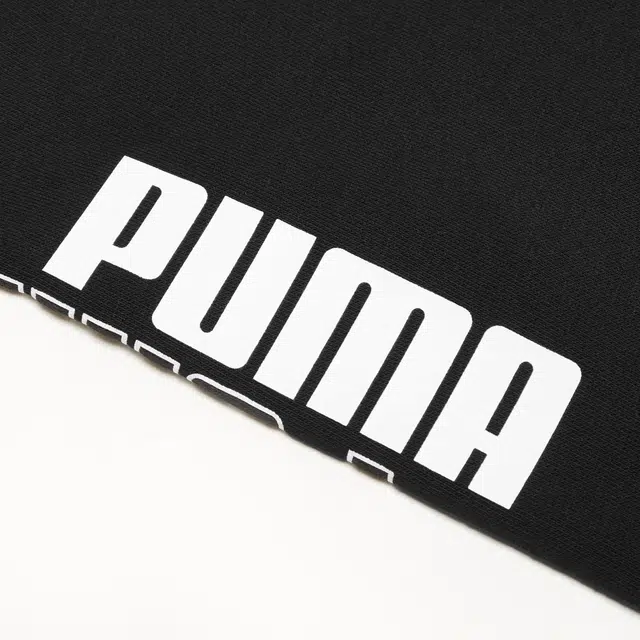 Puma Power Logo