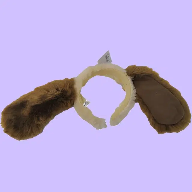 IP