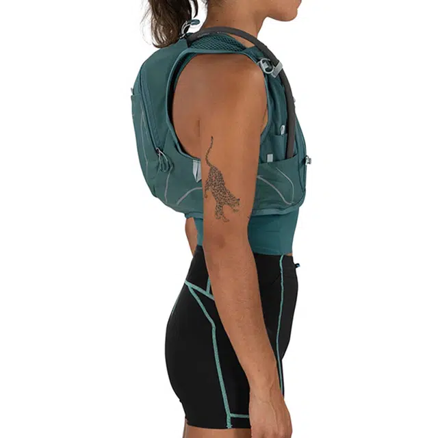 OSPREY6L Dyna6 Logo