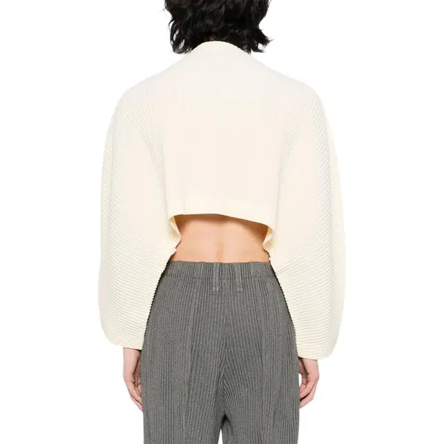 Homme Pliss Issey Miyake T