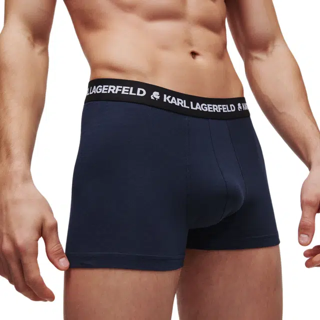 KARL LAGERFELD Logo 3