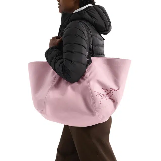 Arcteryx Carrier 45L