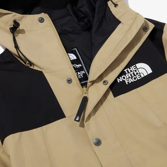 THE NORTH FACE 1990 Gore-tex Logo