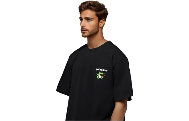 patagonia Extraordinary T