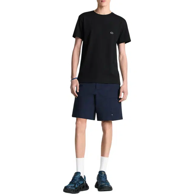 DIOR FW25 T