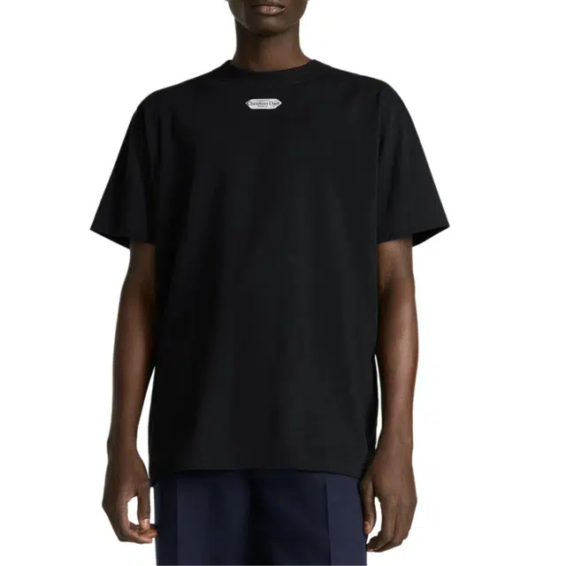 DIOR FW25 T