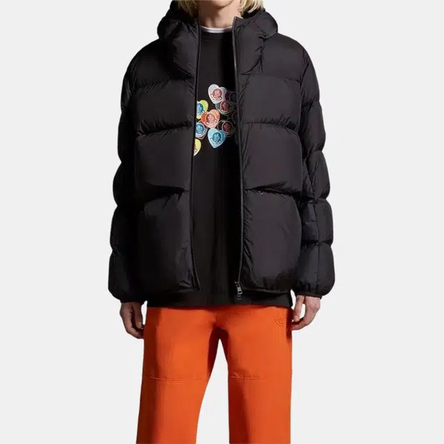 Moncler Alnair Short Down Jacket
