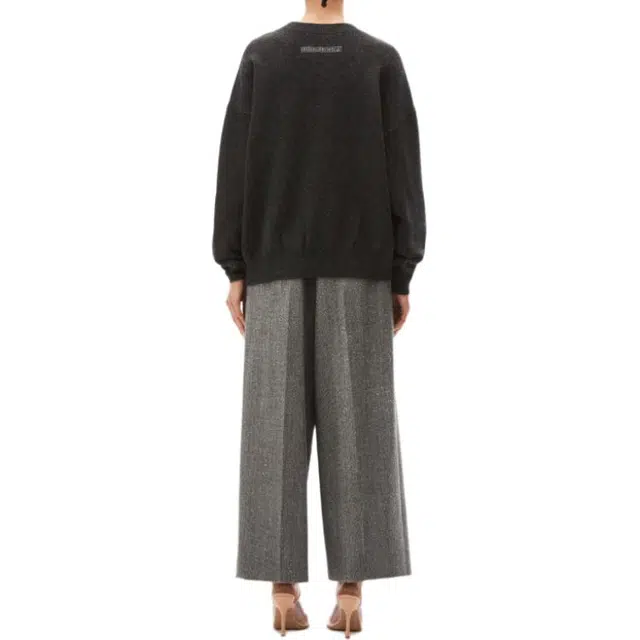 alexander wang FW23 beiress