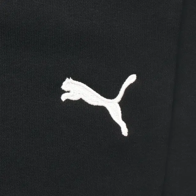Puma Logo