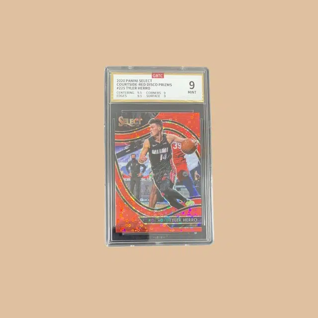 PANINI 2020-21 select 9