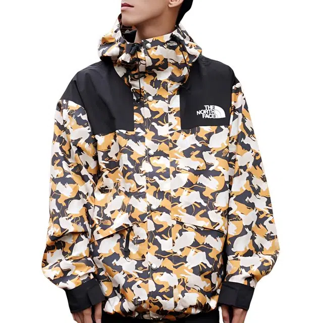 THE NORTH FACE ICON 1986 Logo