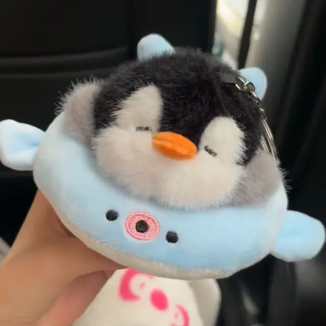 13cm