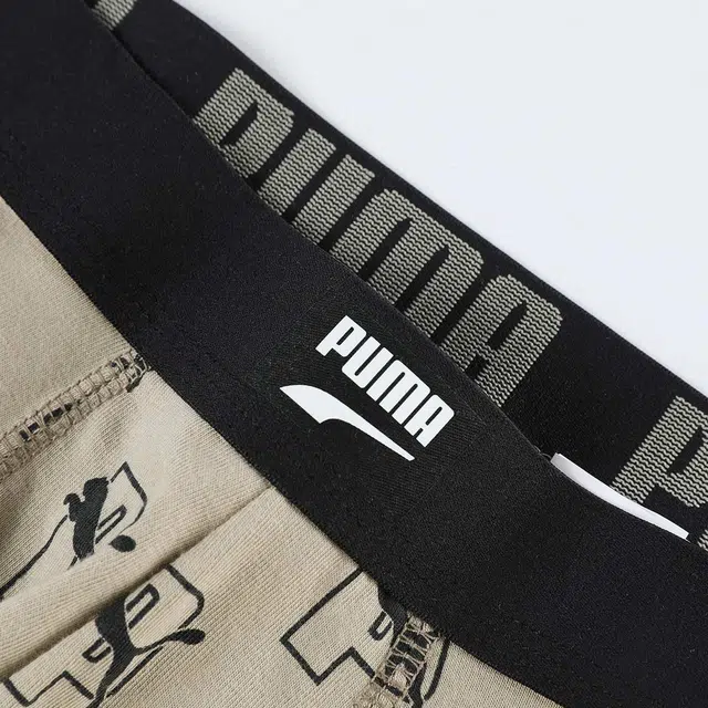 PUMA 2