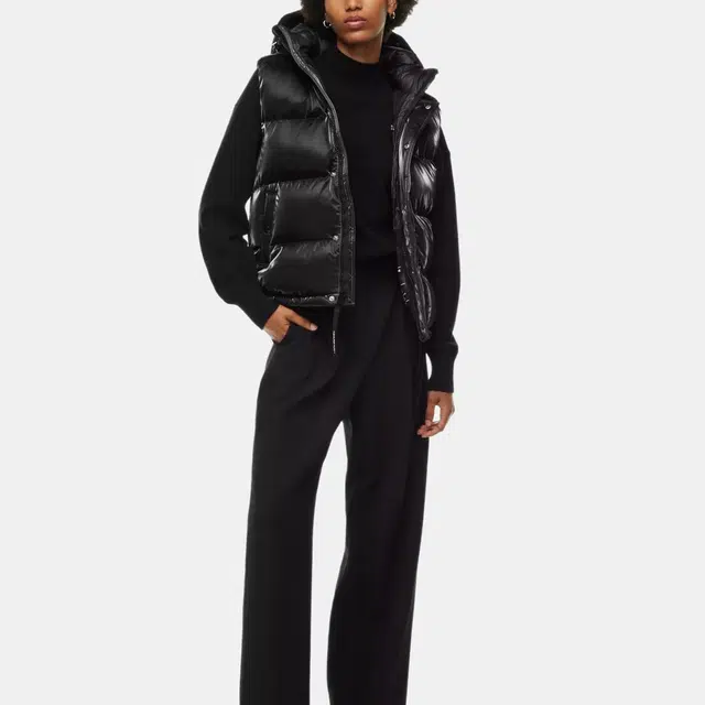 Aritzia Super Puff Liquid Shine