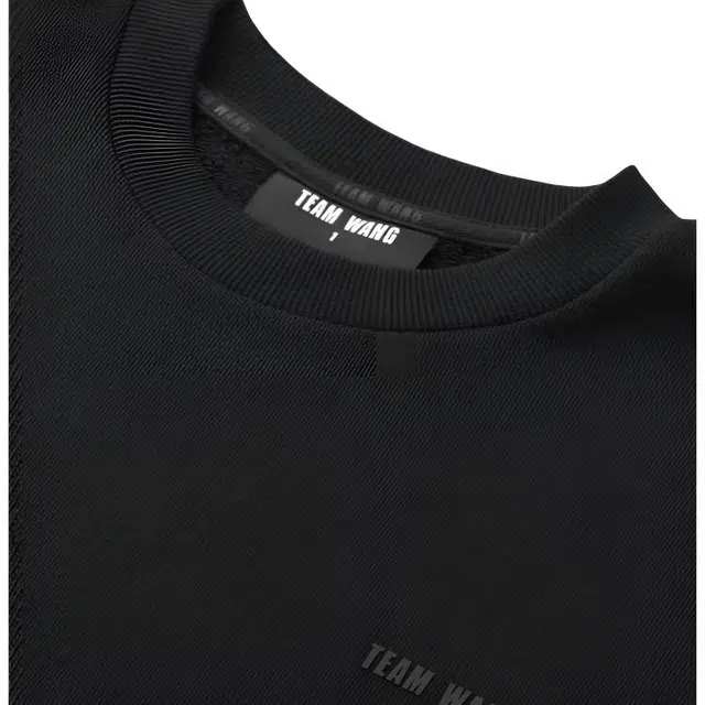 TEAM WANG Logo