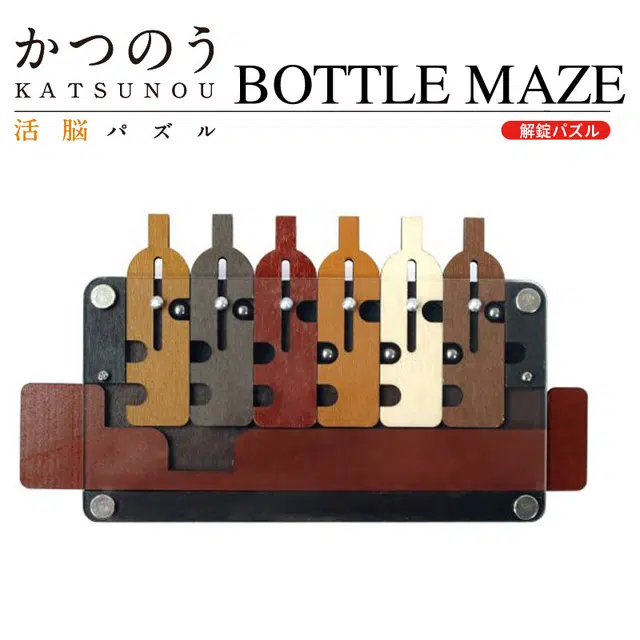 HANAYAMA BOTTLE MAZEConstantin Puzzle