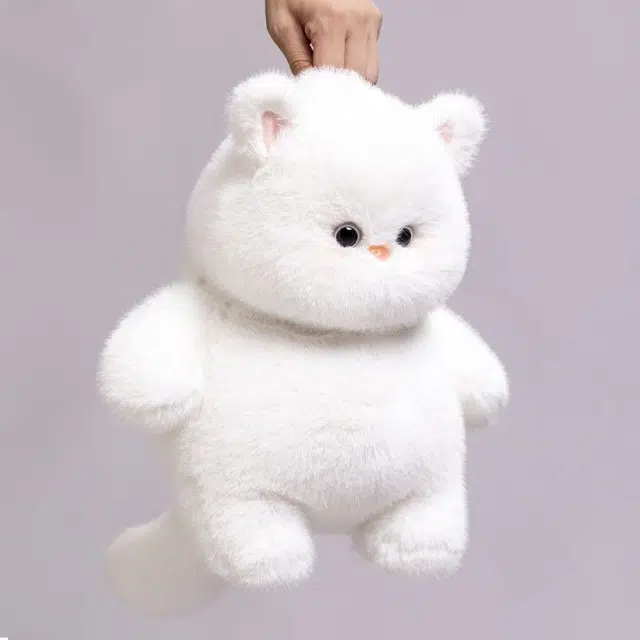50cm