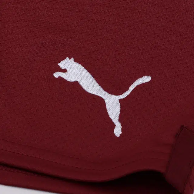 PUMA MCFC CNY Logo