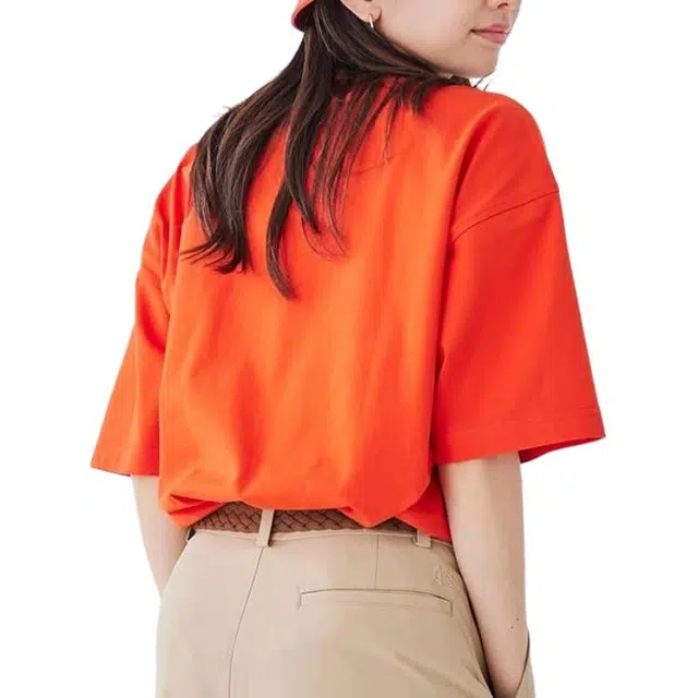 AIGLE T