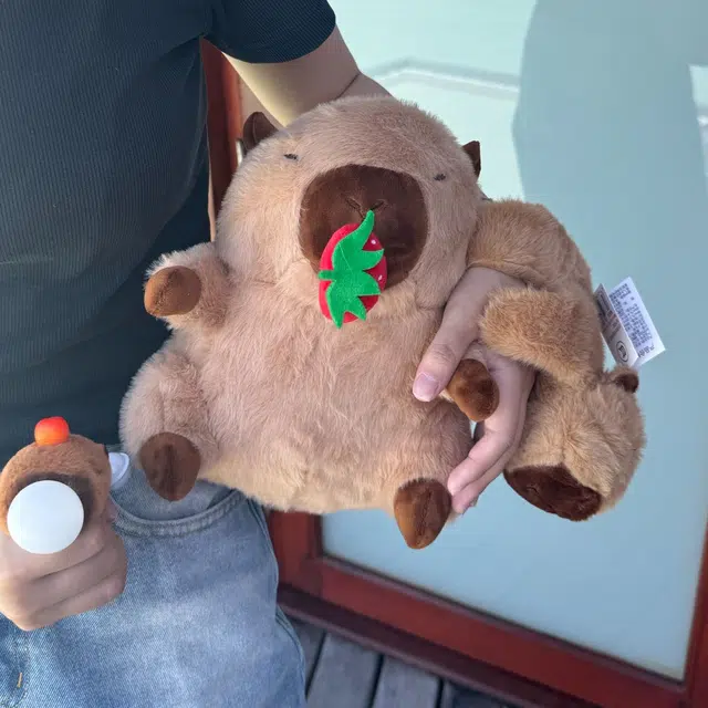 27cm