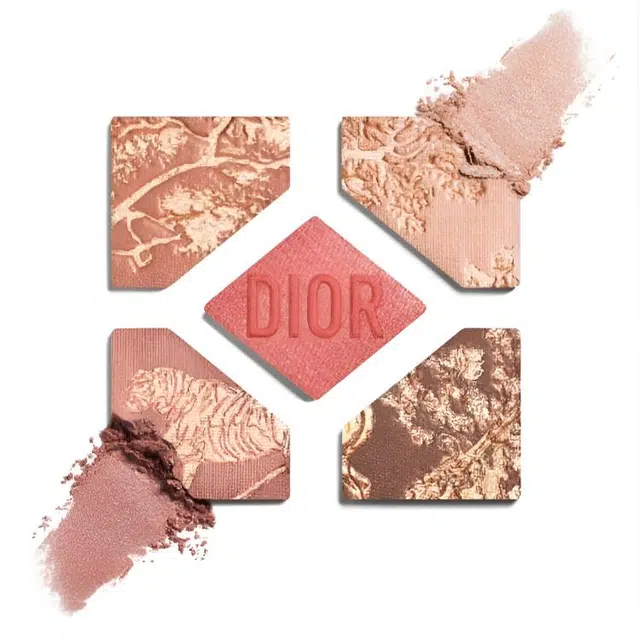 DIOR 2025
