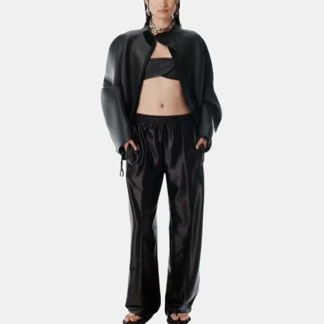 alexander wang FW25 logo