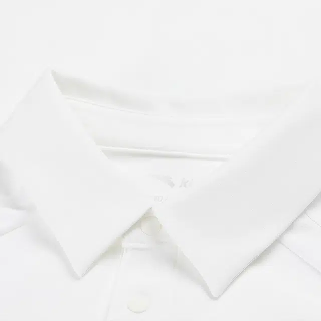 LogoPolo