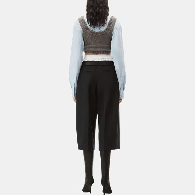 alexander wang