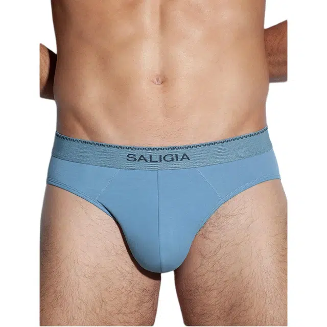 SALIGIA 3