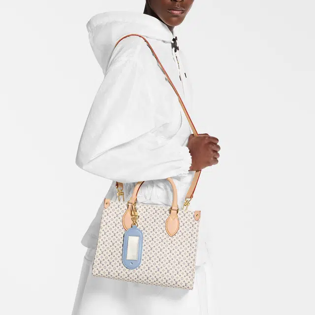 LOUIS VUITTON ONTHEGO PM Tote