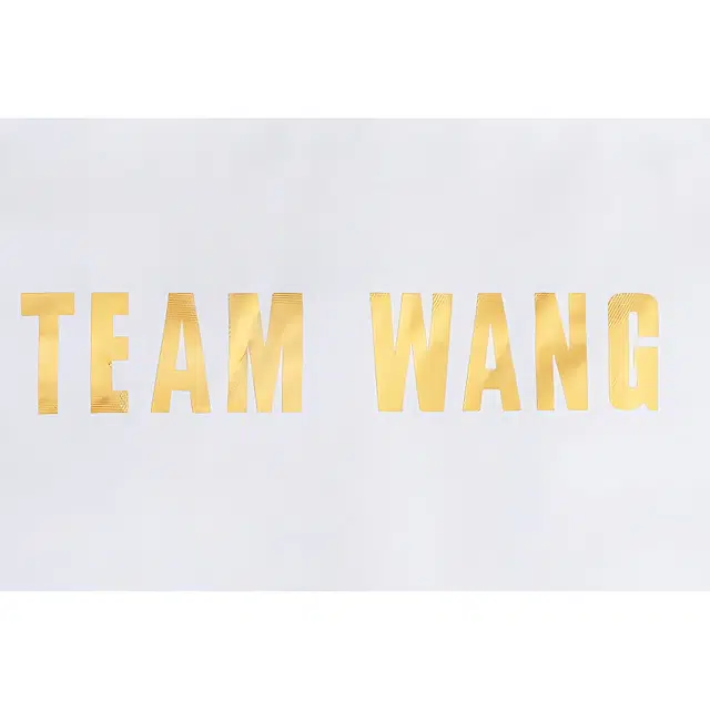 TEAM WANG design