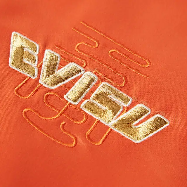 EVISU Logo