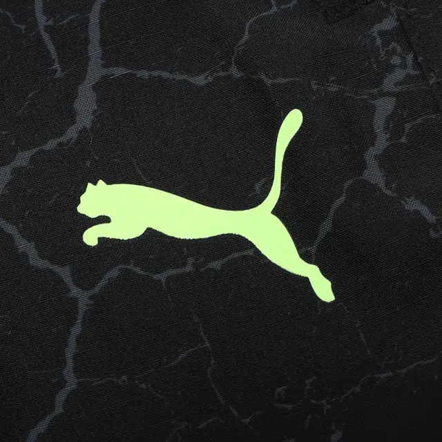 PUMA x TMNT Relaxed Pants