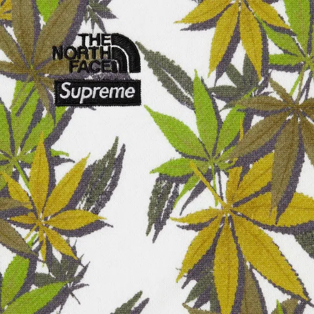 Supreme x The North Face FW23 Hoodie