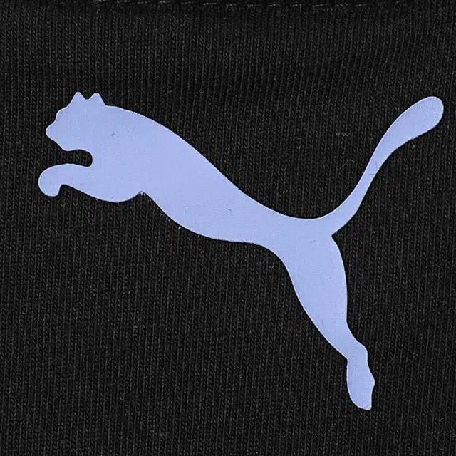 PUMA ESS WARDROBE HC SSTee T