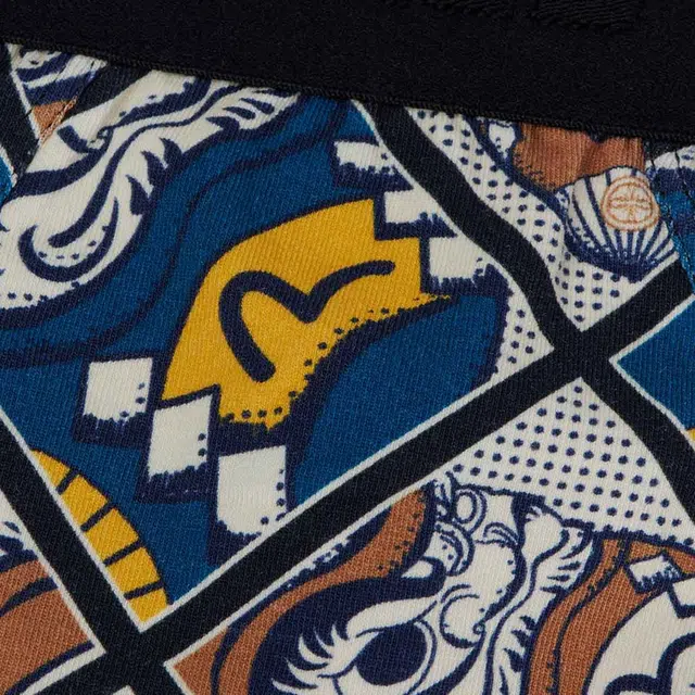 EVISU 1