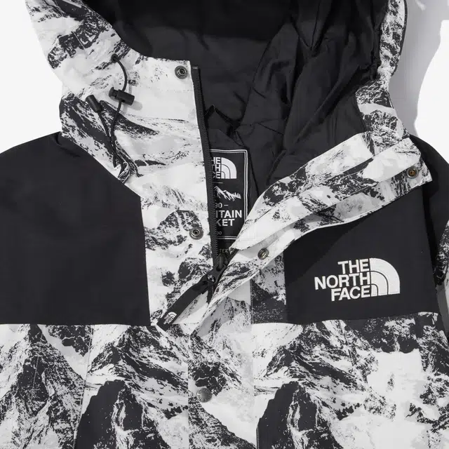 THE NORTH FACE 1990 Gore Tex