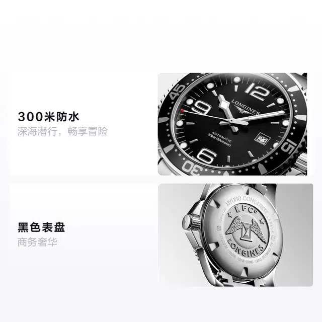 LONGINES 300 44mm L3.841.4.56.6