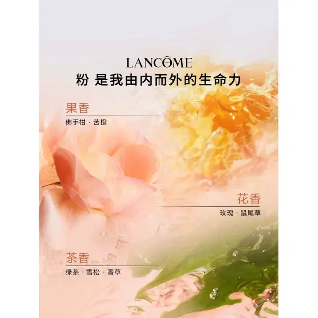 EDT 25ml50ml100ml