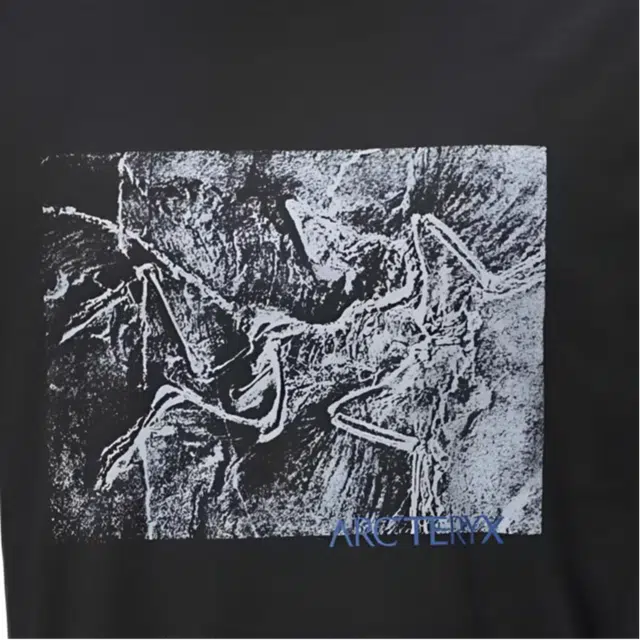 Arcteryx KRAGG SS25 COTTON LITHOGRAPHICA logoT