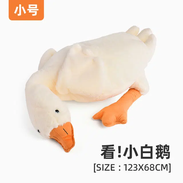 ROYDEN 50cm90cm130cm160cm190cm