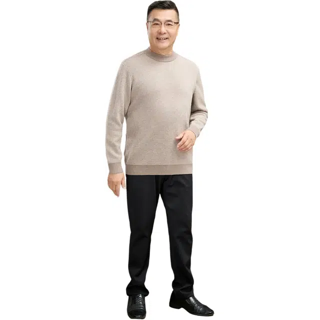 恒源祥 纯羊毛加厚半高领羊毛衫四平提花毛衣 男款